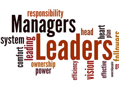 Manager or team leader