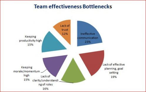Team effectiveness assessment & bottlenecks