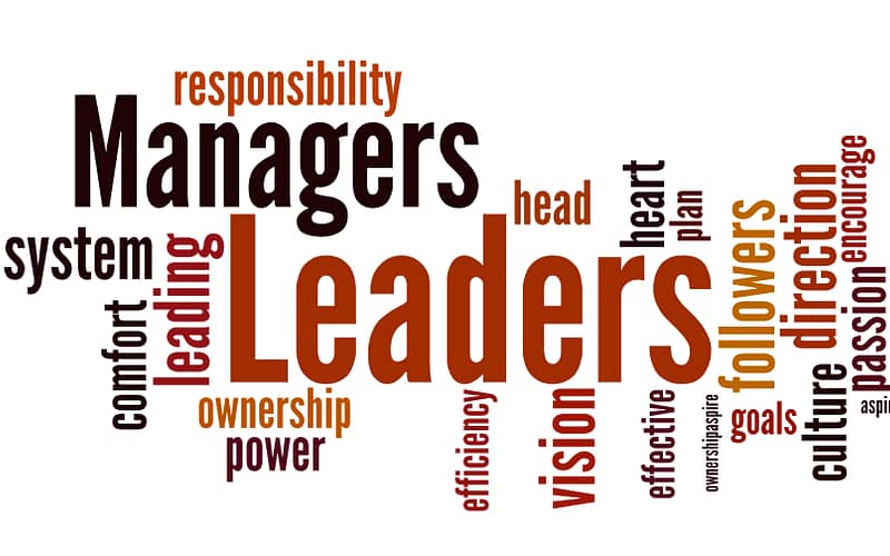 Manager or team leader